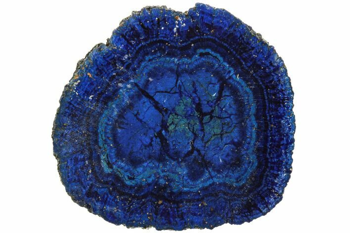 Vivid Blue, Cut/Polished Azurite Nodule - Siberia #209469